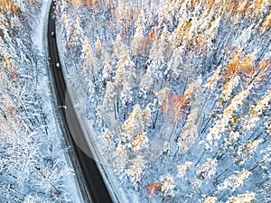 Aerial view of a car on winter road in the forest. Winter landscape countryside. Aerial photography of snowy forest with a car on