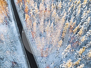 Aerial view of a car on winter road in the forest. Winter landscape countryside. Aerial photography of snowy forest with a car on