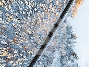 Aerial view of a car on winter road in the forest. Winter landscape countryside. Aerial photography of snowy forest with a car on