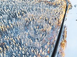 Aerial view of a car on winter road in the forest. Winter landscape countryside. Aerial photography of snowy forest with a car on