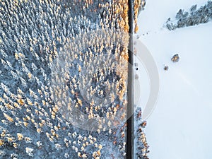 Aerial view of a car on winter road in the forest. Winter landscape countryside. Aerial photography of snowy forest with a car on