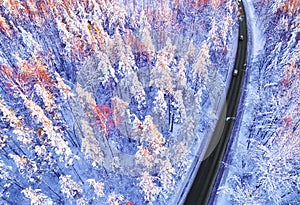 Aerial view of a car on winter road in the forest. Winter landscape countryside. Aerial photography of snowy forest with a car on