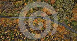 Aerial view of cars on country road in sunny colorful autumn forest 4k