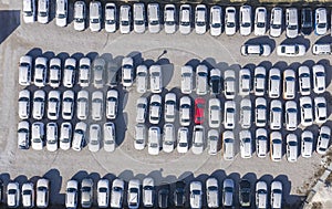 Aerial view cars for sale stock lot row, Car Dealer Inventory, parking lot. One red and all white