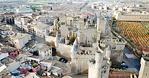 Aerial view of castle Palacio Real de Olite. Navarre. Spain