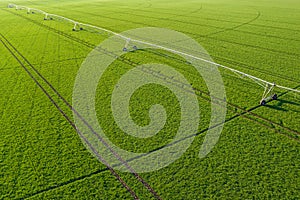 Aerial view of center-pivot irrigation sprinkler in wheat field