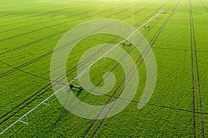 Aerial view of center-pivot irrigation sprinkler in wheat field