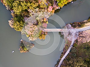 Aerial view of Central park lake in autumn