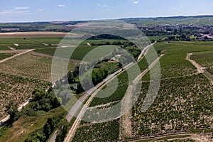 Aerial view on Chablis Grand Cru appellation vineyards with grapes growing on limestone and marl soils, Burdundy, France