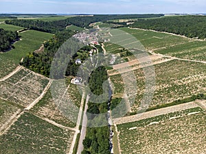 Aerial view on Chablis Grand Cru appellation vineyards with grapes growing on limestone and marl soils, Burdundy, France