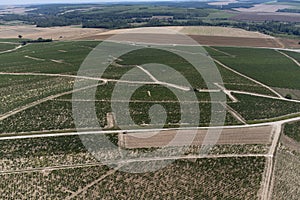 Aerial view on Chablis Grand Cru appellation vineyards with grapes growing on limestone and marl soils, Burdundy, France