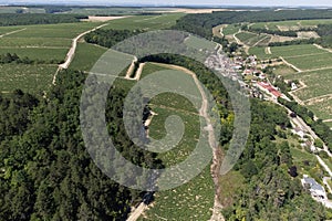 Aerial view on Chablis Grand Cru appellation vineyards with grapes growing on limestone and marl soils, Burdundy, France