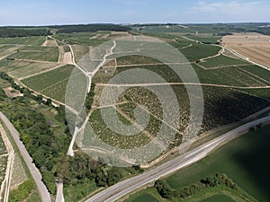 Aerial view on Chablis Grand Cru appellation vineyards with grapes growing on limestone and marl soils, Burdundy, France