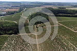 Aerial view on Chablis Grand Cru appellation vineyards with grapes growing on limestone and marl soils, Burdundy, France