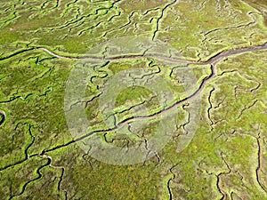 Aerial view of channels and gullies, Seaftinge, Holland