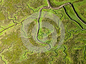 Aerial view of channels and gullies, Seaftinge, Holland