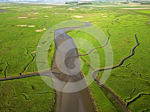 Aerial view of channels and gullies, Seaftinge, Holland