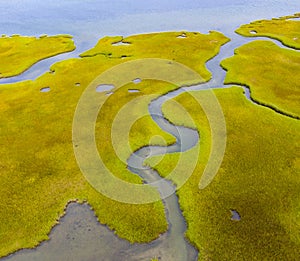 Aerial View of Channels Winding Through Healthy Salt Marsh