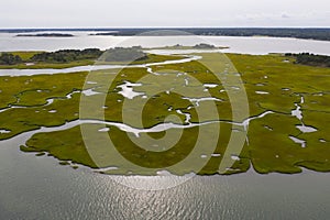Aerial View of Channels Winding Through Salt Marsh