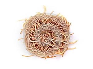 Aerial view of Chinese Egg Noodles on white background. Close up of Spaghettis. Nutrition and Food. Fried noodle strand pack