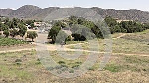 Aerial view, circling around two cowboys riding their horse in vineyard