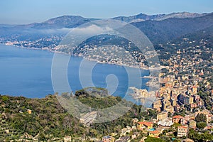 Aerial view of city of Camogli, Genoa Genova province, Ligurian riviera, Mediterranean coast, Italy