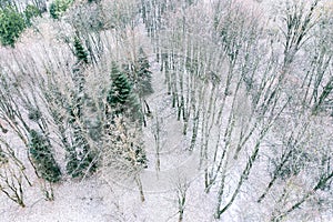 Aerial view of city park covered with the first snow in frosty day