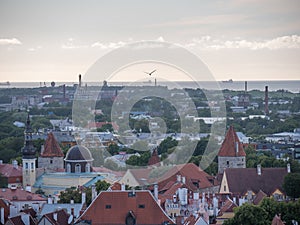 Aerial view of city Tallinn Estonia business district