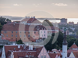 Aerial view of city Tallinn Estonia business district