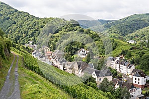 Aerial view of city Trarbach with vineyards