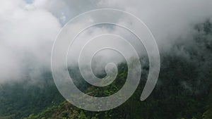 Aerial view of clouds over a jungle in Mindanao, Philippines.