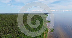 Aerial view of coastline. Summer landscape.