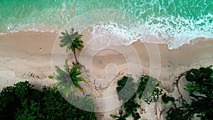 Aerial view of coconut palm trees near the beach and turquoise water sea .Scenery view Phuket travel destination at Tropical islan