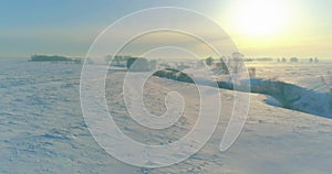 Aerial view of cold winter landscape arctic field, trees covered with frost snow, ice river and sun rays over horizon