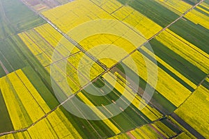 Aerial view of color of farmland in spring