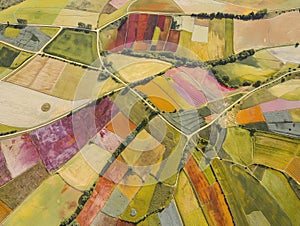 Aerial View of Colorful Agricultural Fields