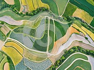 Aerial View of Colorful Agricultural Fields