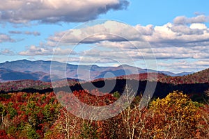 Aerial view of colorful autumn forests with Toxaway mountains in the background in NC