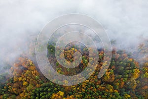 Aerial view of a colorful forest in the fog. Sunrise in Slovenia in the autumn.