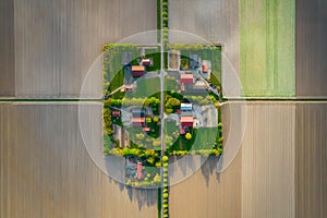 Aerial view of the colorful tulip fields and farmhouses in Noordoostpolder part of Netherlands