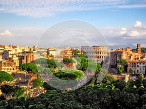 Aerial view of the Colosseum in summer, Rome, Italy