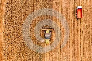 Aerial view of the combine harvester agriculture machine working on ripe wheat field