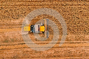 Aerial view of the combine harvester agriculture machine working on ripe wheat field