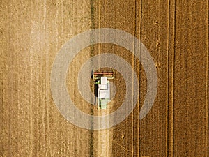 Aerial view of combine harvester harevsting wheat