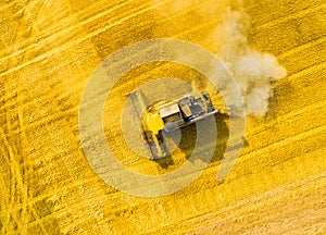 Harvest of wheat field. Aerial view to combine harvester.