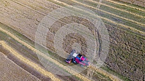Aerial view combine harvester harvesting on the field. Harvesting wheat. Harvester machine working in field