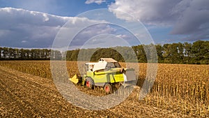 Aerial view combine, harvester, harvesting on sunflower field. Mechanized harvesting sunflower