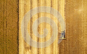 Aerial view of combine harvester harvesting wheat. Beautiful wheat field