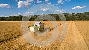 View combine harvester  harvesting on wheat field, cloudy sky