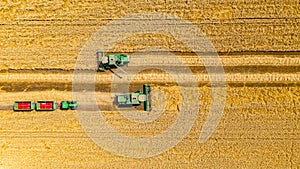 Aerial view on combine, harvester machine, harvest ripe cereal